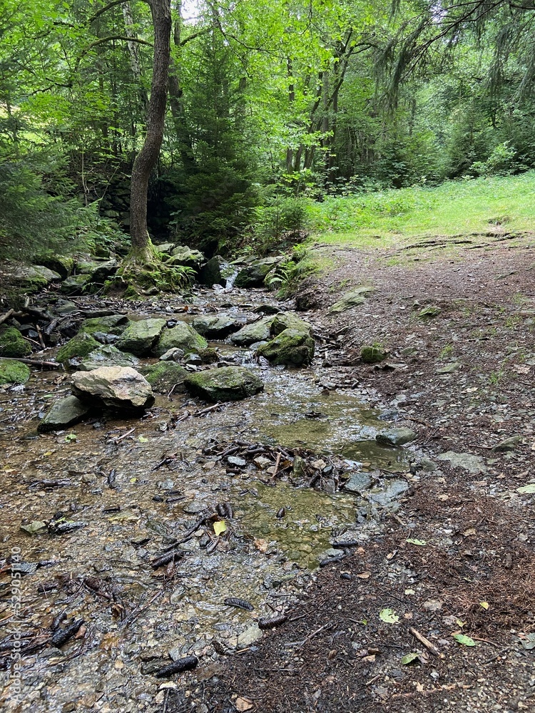 natur, bach, fluss, idylle, Erholung, pfad, wandern landschaft, sommer, fels, berg, moos, frühling, baum, wald, wasser, gras, natur, bach, fluss, idylle, Erholung, pfad, wandern landschaft, sommer, fels, berg, moos, frühling, baum, wald, wasser, gras,