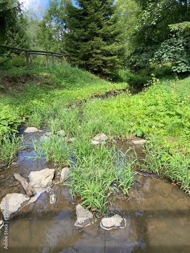 natur  bach  fluss  idylle  Erholung  wandern  landschaft  sommer  fels  berg  moos  fr  hling  baum  wald  wasser  gras  