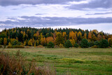 Rural landscape in autumn. The first yellow-red colors of autumn in the forest.