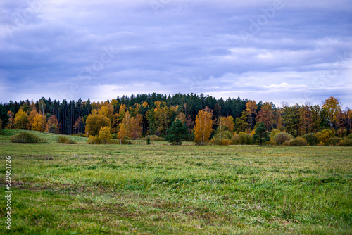 Rural landscape in autumn. The first yellow-red colors of autumn in the forest.