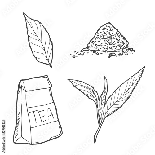 vector tea set, cups, teapot and leafs of tea isolated at white background, hand drawn illustration
