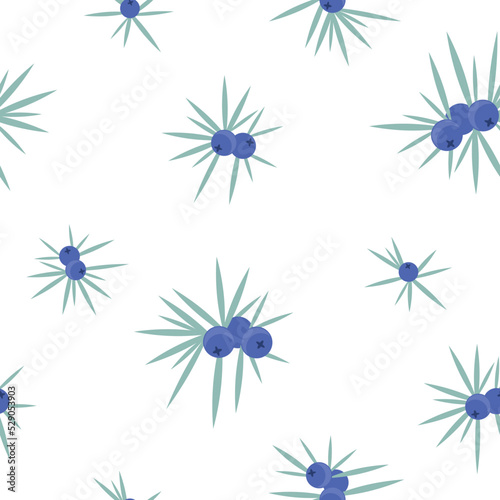 juniper with blue berries seamless pattern. branches of conifer on white background. vector floral winter illustration. New year backdrop