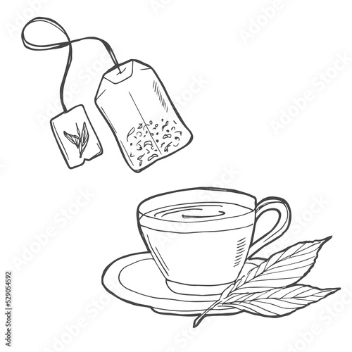 Cup with tea bag hand drawn outline doodle icon. Hot drink - tea cup vector sketch illustration for print, web, mobile and infographics isolated on white background.