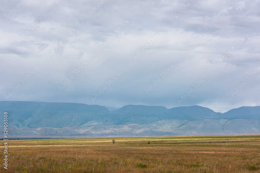 Dramatic alpine view to sunlit steppe and somber large mountains in low clouds during rain. Gloomy mountain landscape with bleak mountain range in rain and steppe in sunlight in changeable weather.