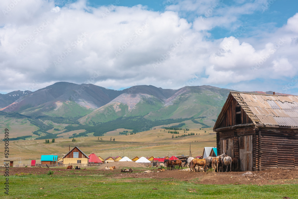 Countryside landscape with herd of horses near wooden barn in mountain village against of houses with multicolor sloping roofs with view to sunlit large mountain range in clouds at changeable weather.