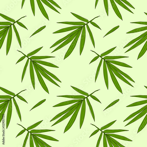 Palm leaves seamless pattern. Palm leaves seamless pattern for print, green background. Exotic botanical flower. Vector illustration.