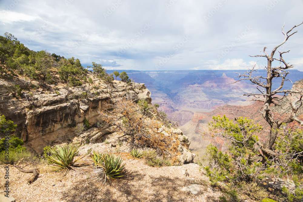 Naklejka premium View from the South Rim at Grand Canyon National Park, Arizona, USA