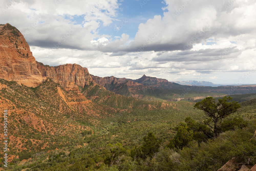 The view from Kolob canyon in Zion Nat. park looking up the canyon towards West Temple on a summer day with gathering clouds. 