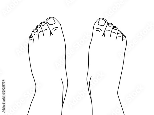 Top view of two bare human feet. Thin line foot legs. Vector flat outline illustration