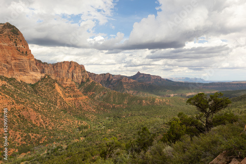 The view from Kolob canyon in Zion Nat. park looking up the canyon towards West Temple on a summer day with gathering clouds. 