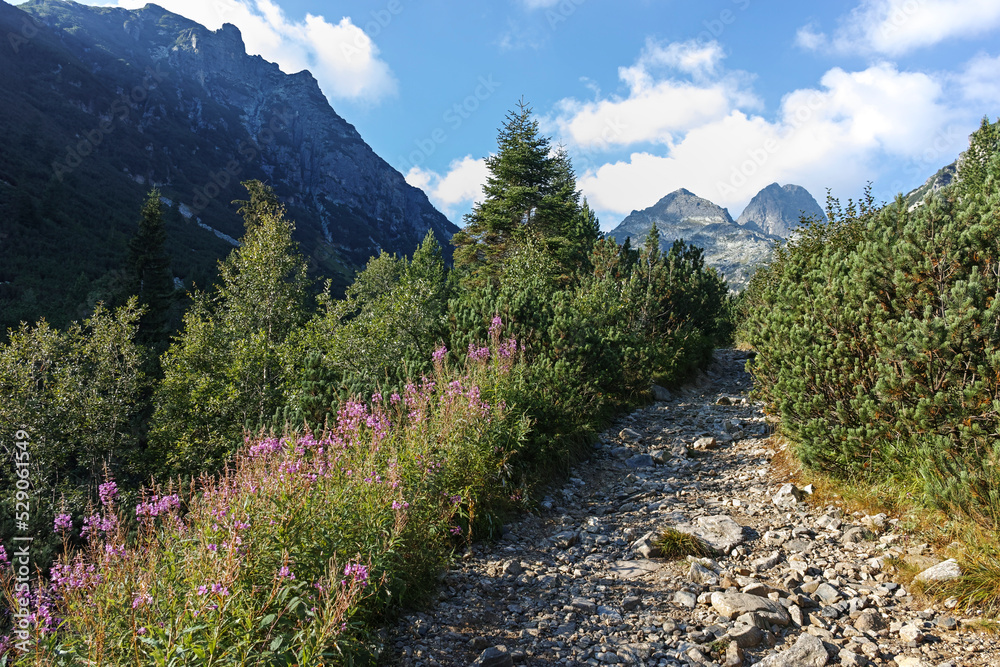 Fototapeta premium Summer landscape of Rila Mountain near Malyovitsa hut, Bulgaria