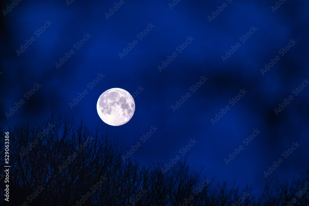 Naklejka premium Full moon at dawn