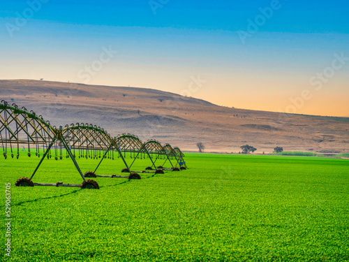 Agricultural irrigation system watering crop field in Drakensberg, South Africa