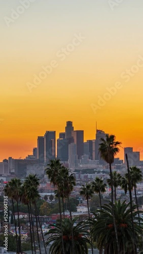 Los Angeles Day to Night Sunet Timelapse with Palm Trees, Vertical Reel Video photo