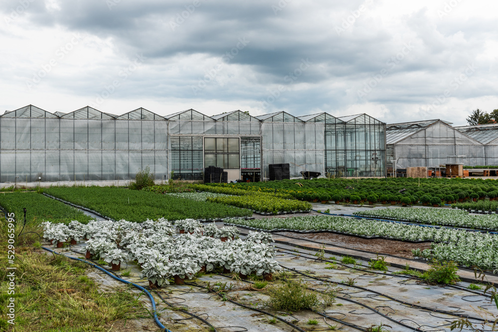 Many greenhouses from outside. Professional horticulture. Many greenhouses from outside. Professional horticulture.