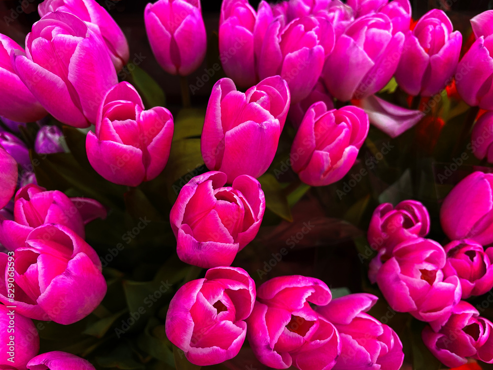 Obraz premium Flowers in a bunch on display in a floral store dark pinks