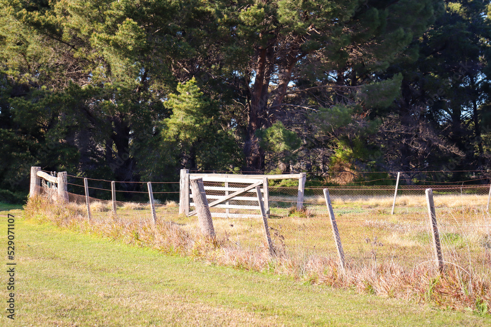 fence in the field fence in the field