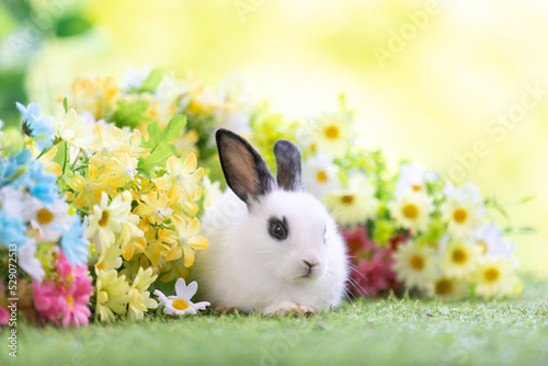 Lovely bunny easter fluffy baby rabbit with a basket full of colorful flowers and easter eggs on green garden nature background on warmimg day. Symbol of easter day festival. photo