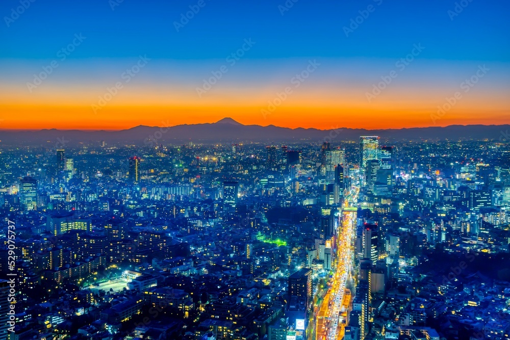 Obraz premium 富士山と東京 2021年末 夜景