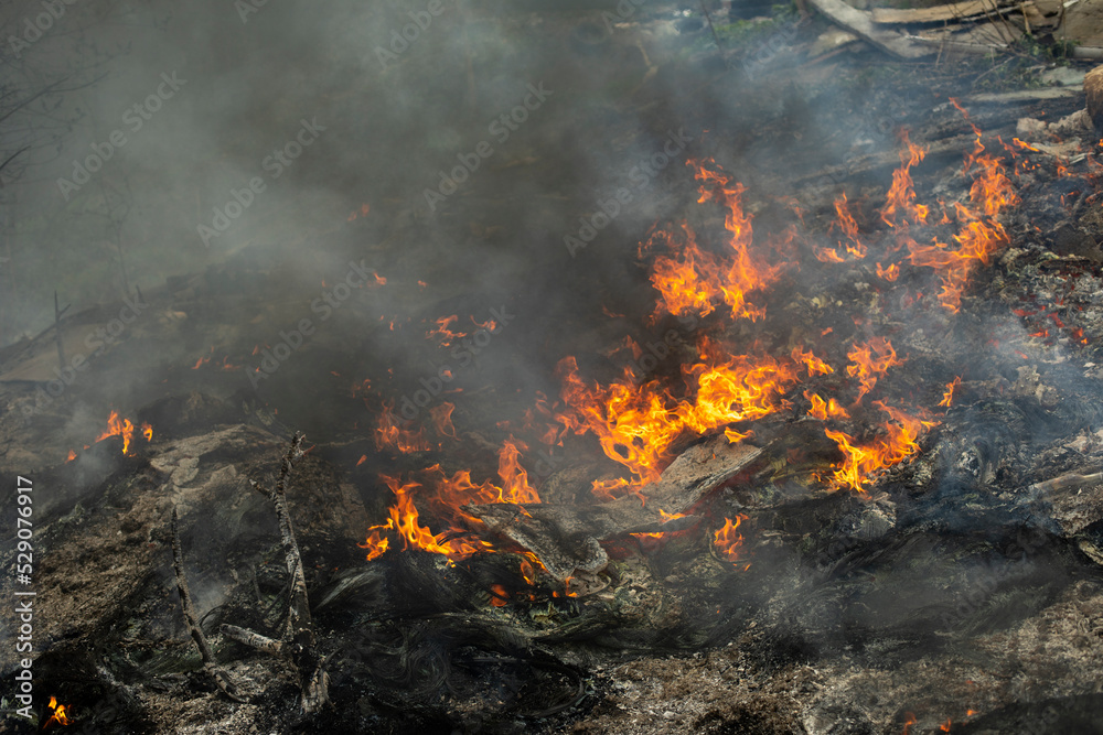 Burning of garbage. Set fire to illegal landfill. Flames and smoke. Burning of garbage. Set fire to illegal landfill. Flames and smoke.