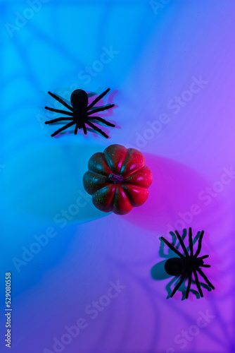 Halloween party. Black night spider, scary spooky pumpkin on night neon helloween background. Happy Halloween concept. Frame. Copy space, Flat lay. © Maksym