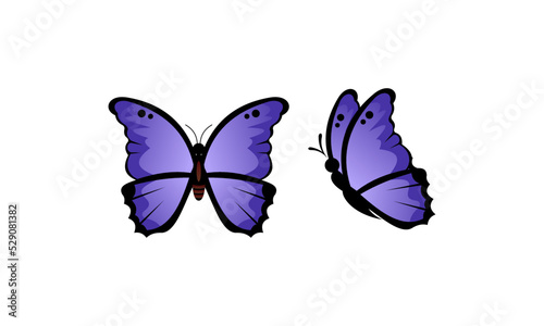 Beautiful color butterfly logo vector art illustration © deemka studio