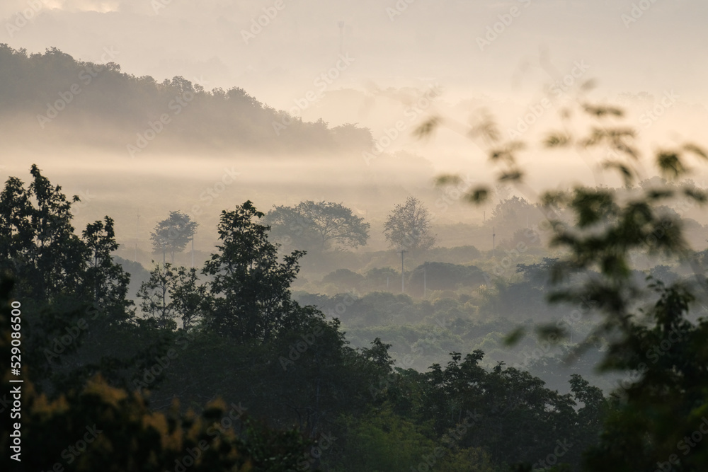 Fototapeta premium Scenic mountain and cloud landscape. Beautiful landscape of the forest and cloud background in a mist tropical green plants in a jungle.