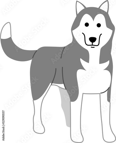 siberian husky illustration