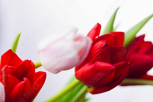 Tulips with note