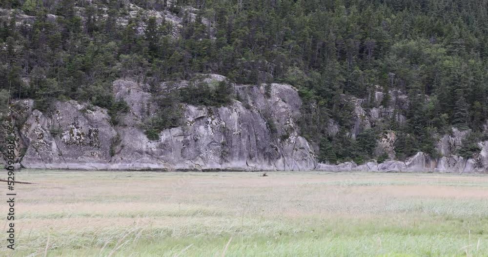 Skagway Alaska historic gold mine port forest pan. Cruise ships