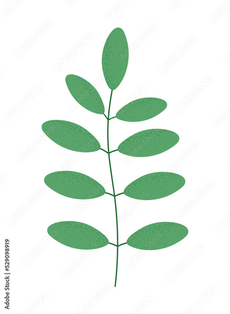 Fototapeta premium green leaves plant