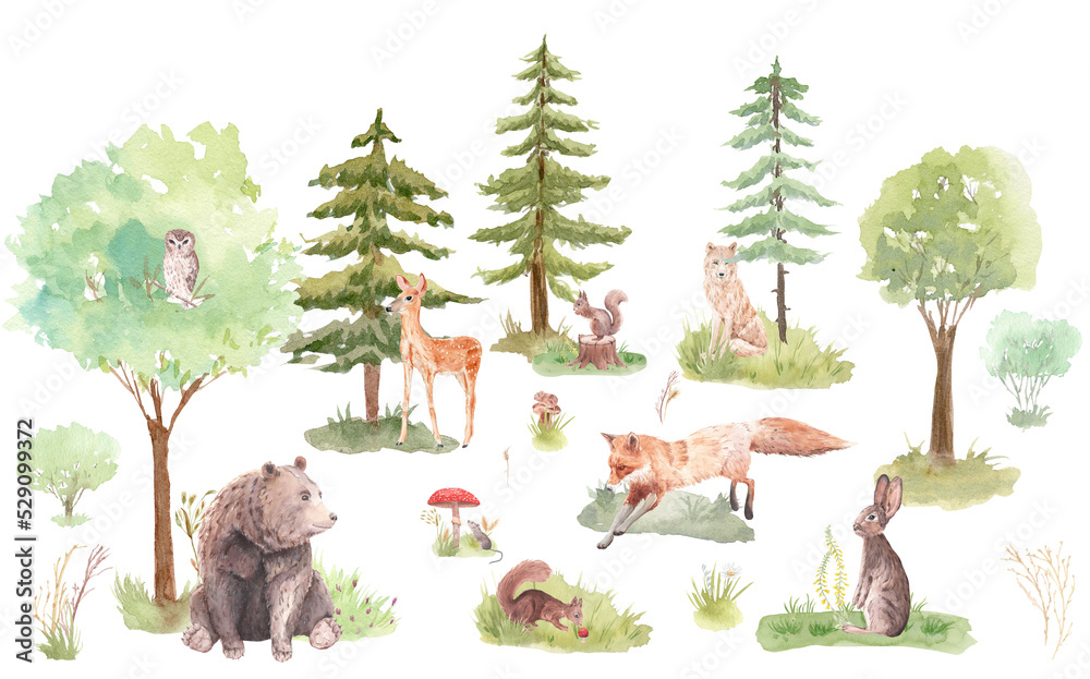 Watercolor set Forest Animals and Christmas Trees, watercolor woodland ...