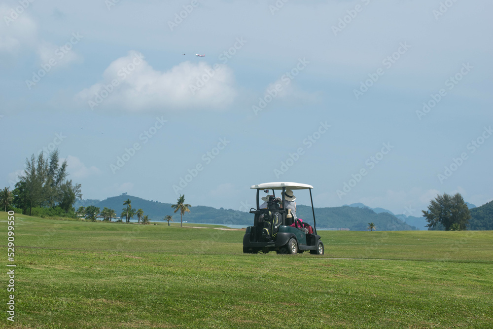golfer in golf cart on golf course