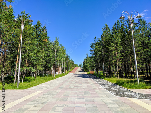 Noyabrsk, Russia - July 6, 2022: View of the sidewalk in the city park with wooden benches surrounded by green coniferous forest