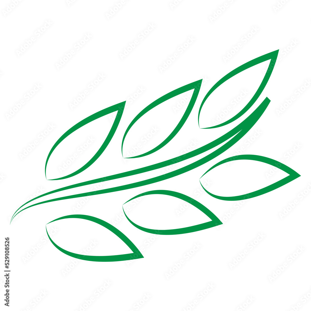 Fototapeta premium leaf icon ilustration vector