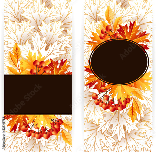 Autumn banners with fall maple tree leaves and rowanberry.