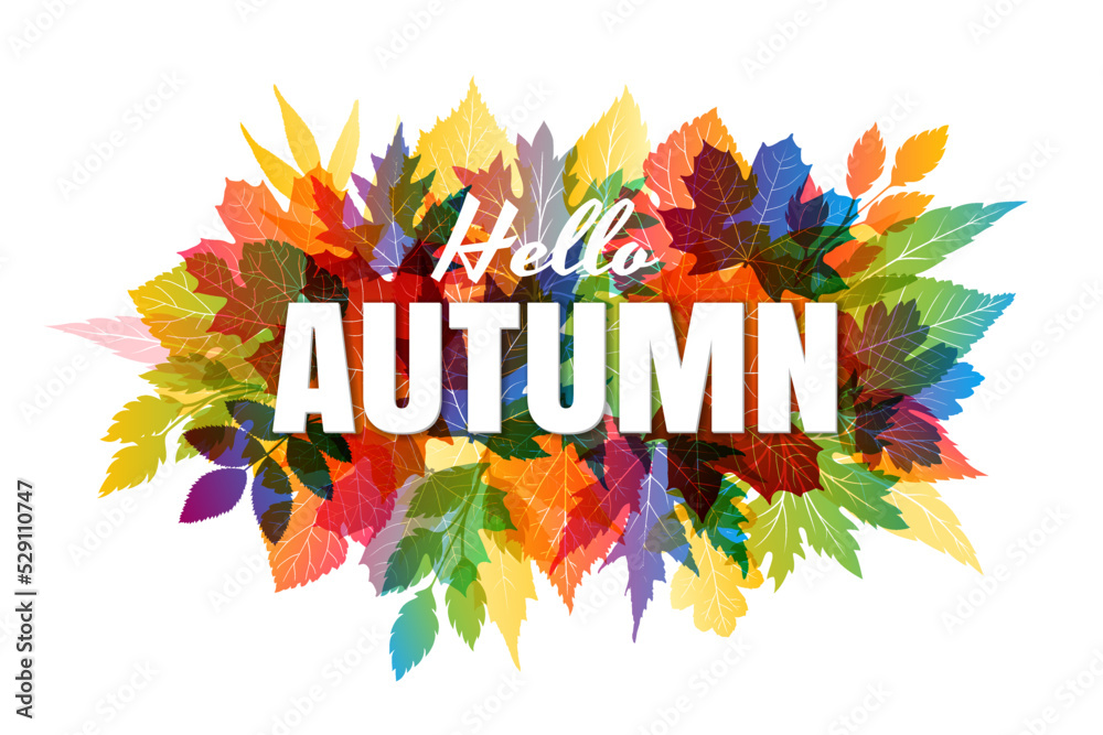 Autumn colorful background with various leaves