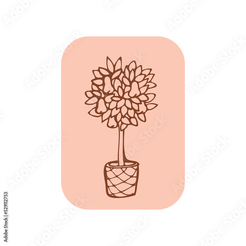 
hand drawn pear tree on the white background