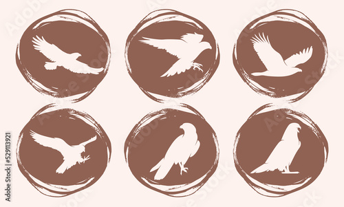 Six Falcon Silhouette. A set of a falcon silhouette