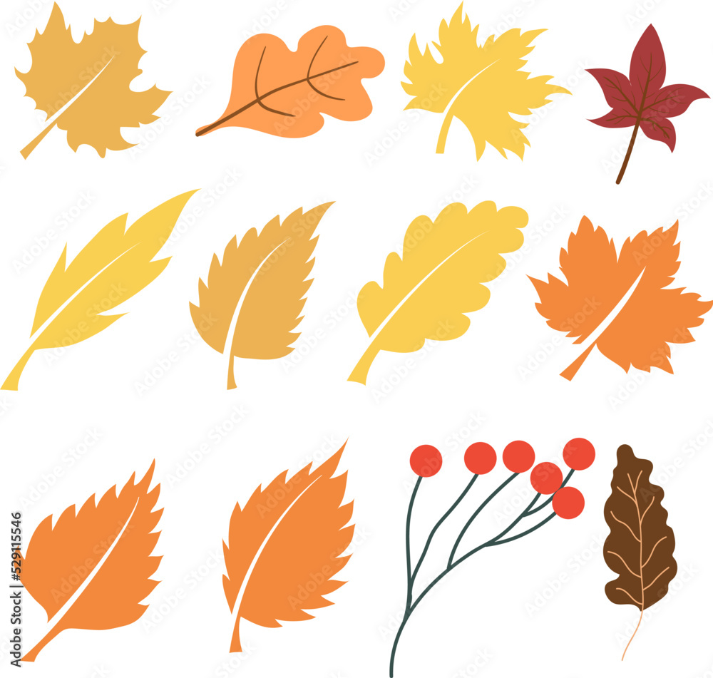 Hand drawn autumn leaf, Design Elements Hand drawn autumn leaf, Design Elements