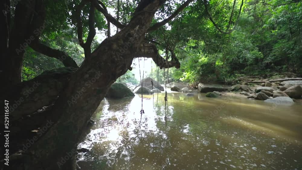 Small river close to hin lad waterfall, rops hanging from tree, Samui, Thailand Small river close to hin lad waterfall, rops hanging from tree, Samui, Thailand