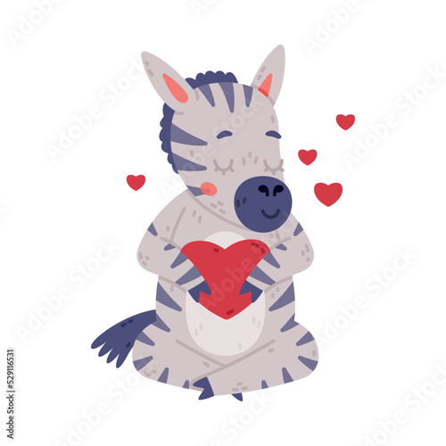 Funny Zebra with Black-and-white Striped Coat Sitting with Red Heart Vector Illustration