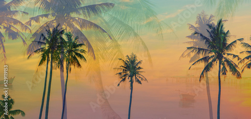 Fototapeta Naklejka Na Ścianę i Meble -  palm trees at sunset background 