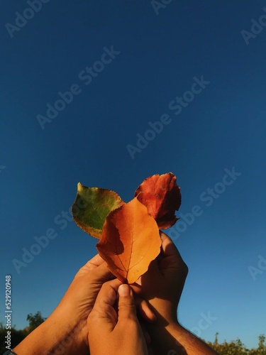 Manos con hojas de otoño