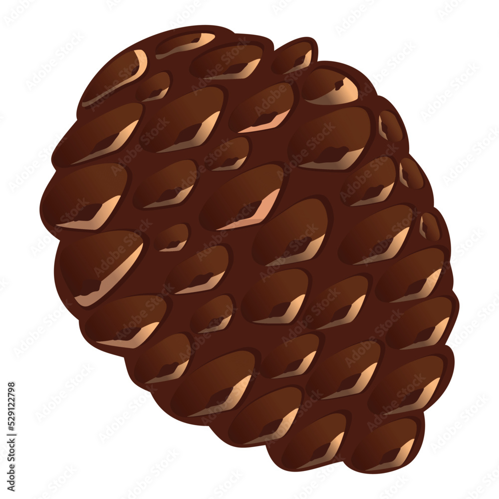 Flat Style Brown Pine Cone On White Background. Flat Style Brown Pine Cone On White Background.