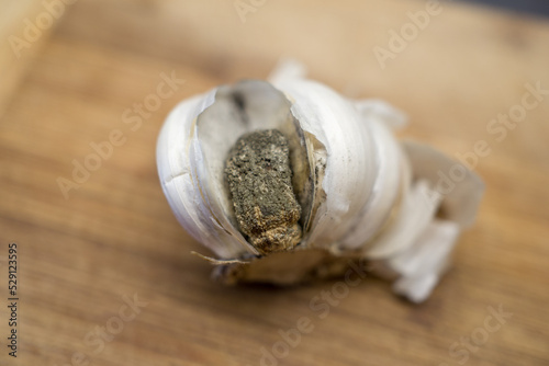 closeup of moldy garlic on a wooden board in the kitchen