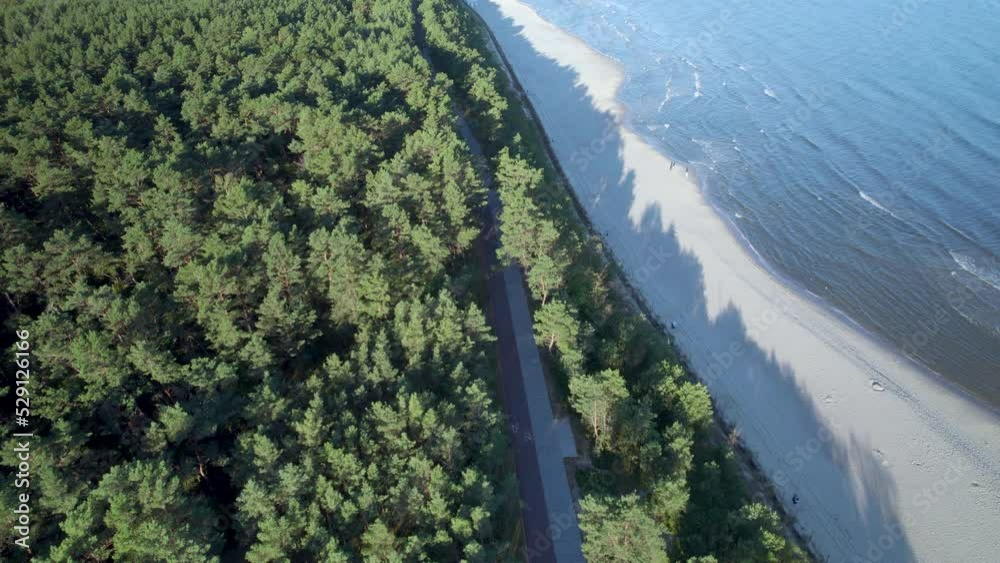 Krynica Morska Forest Trees Beside Beach On The Vistula Spit. Dolly Back Krynica Morska Forest Trees Beside Beach On The Vistula Spit. Dolly Back