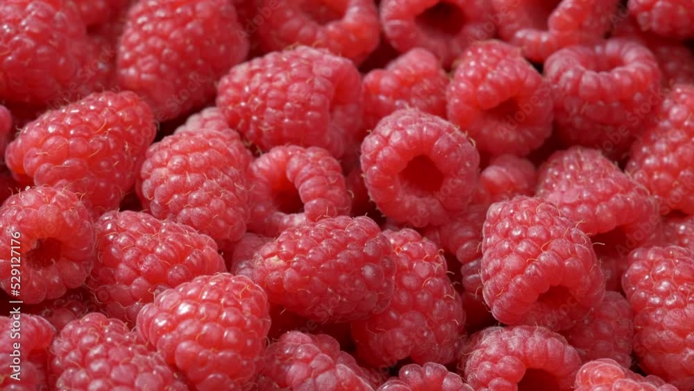 Ripe fragrant raspberries. pan camera movement Ripe fragrant raspberries. pan camera movement