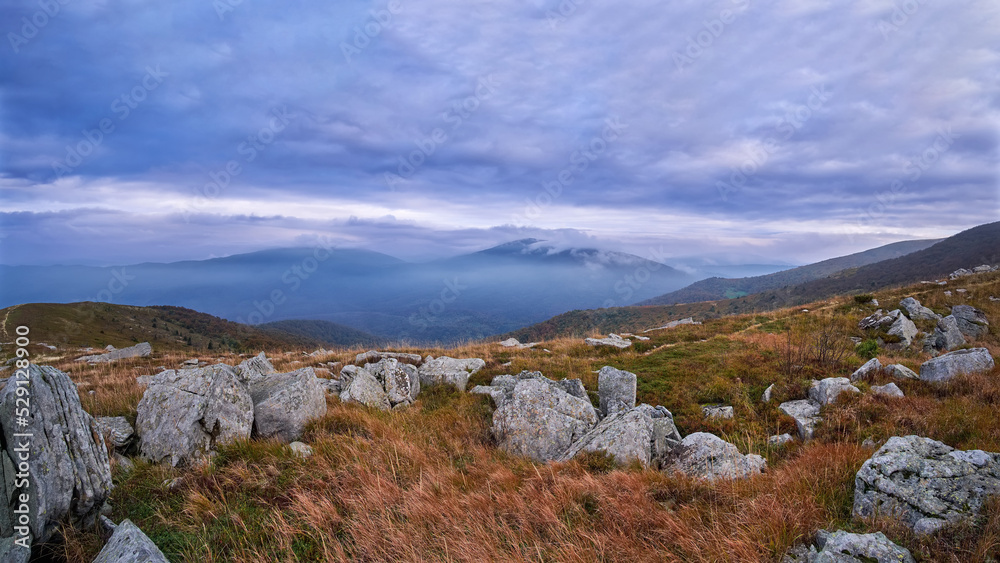 A scattering of boulders in withered grass on a mountain slope. Autumn cloudy day in the Carpathians