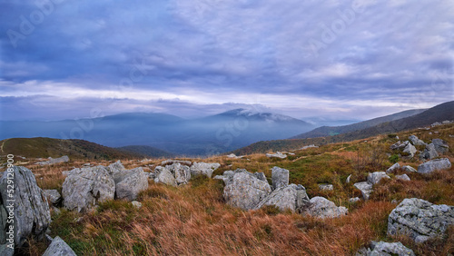 A scattering of boulders in withered grass on a mountain slope. Autumn cloudy day in the Carpathians